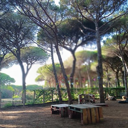 The Pineforest Cabin Chiclana de la Frontera Exterior foto