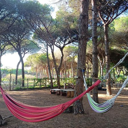 The Pineforest Cabin Chiclana de la Frontera Exterior foto