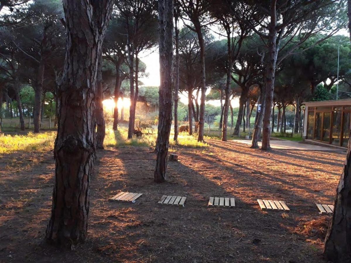 The Pineforest Cabin Chiclana de la Frontera Exterior foto