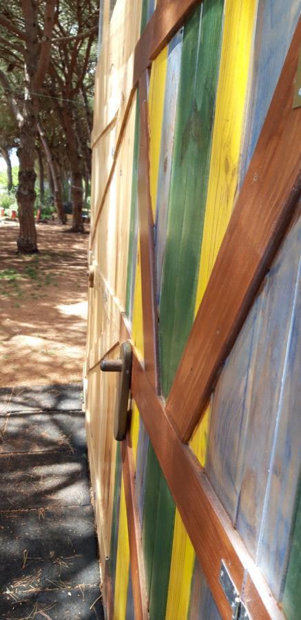 The Pineforest Cabin Chiclana de la Frontera Exterior foto
